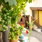 Stift Goettweigblick Apartamento